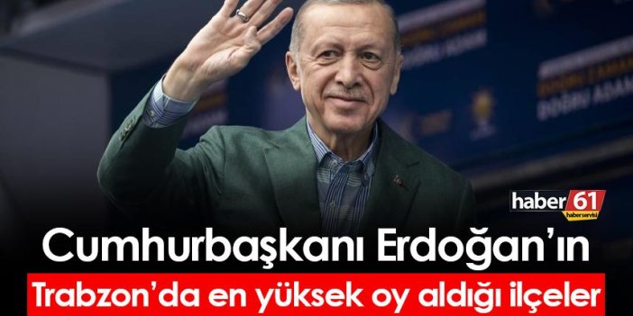 İşte Cumhurbaşkanı Erdoğan'ın Trabzon'da en yüksek oy aldığı ilçeler