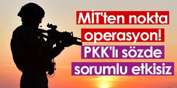 MİT'ten nokta operasyon! PKK'lı sözde sorumlu etkisiz