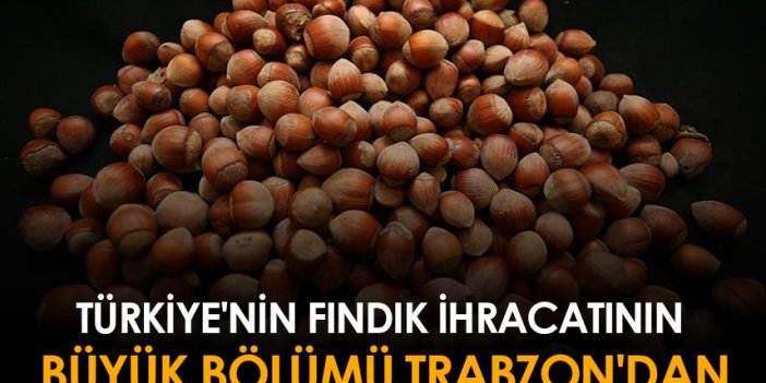 Türkiye'nin fındık ihracatının büyük bölümü Trabzon'dan