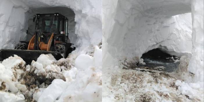 Artvin'de yayla yolları kar tüneli kazılarak ulaşıma açıldı