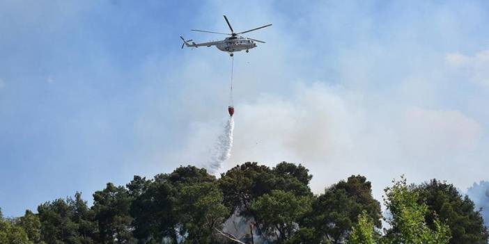 Antalya'da orman yangını! Müdahale sürüyor. 20 Haziran 2023