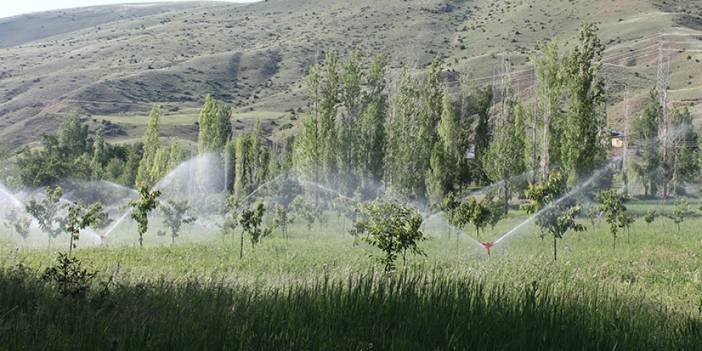 Bayburt'ta Gez göledi tarım arazilerine can suyu oluyor