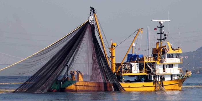 Trabzon için balıkçılık açıklaması! "Yarın fındıktan daha fazla gelir getirecektir"