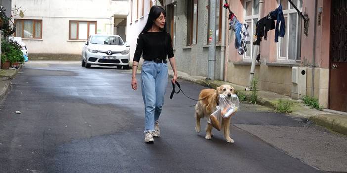 Trabzon'da köpek ile sahibinin dostluğu görenleri gülümsetiyor