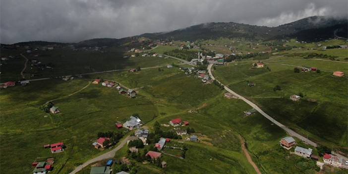 Trabzon Haçka Yaylası'na bayram tatilinde ziyaretçi akını