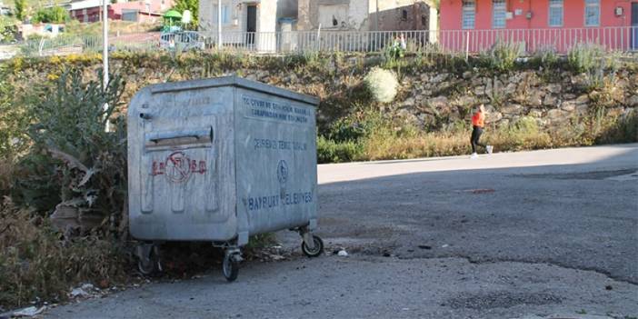 Bayburt'ta vatandaşları tedirgin eden 'Çöp Canavarı'