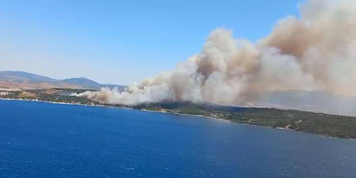 İzmir'in 2 ilçesinde orman yangını. 10 Temmuz 2023