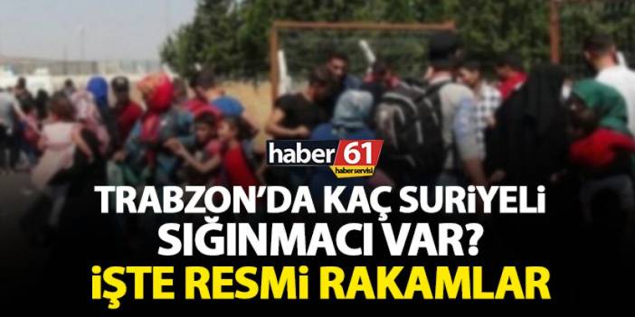 Trabzon’da kaç Suriyeli sığınmacı var? İşte resmi rakamlar