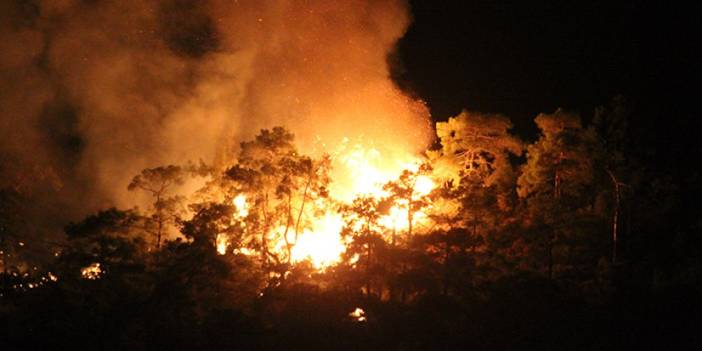 Antalya'nın Kemer ilçesinde orman yangını çıktı. 25 Temmuz 2023
