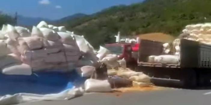 Trabzon'da saman yüklü kamyon devrildi: 1 yaralı