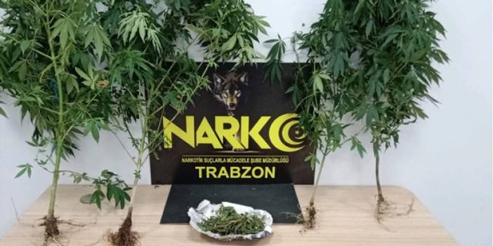 Trabzon'da narkotik sokak operasyonları! 3 şahıs hakkında işlem
