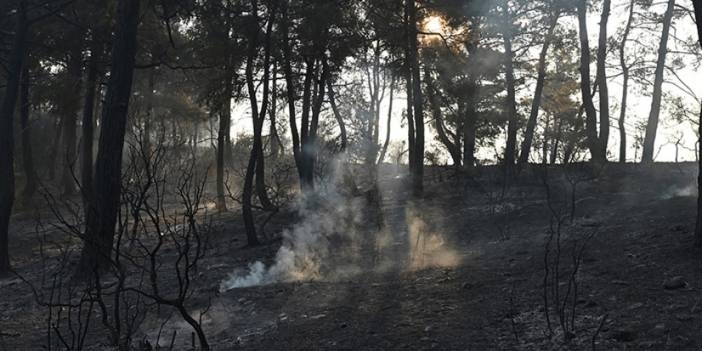 Çanakkale'deki orman yangını kontrol altına alındı. 24 Ağustos 2023