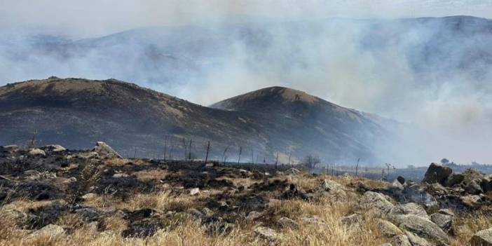 Bayburt'ta mera yangını! 60 hektar alan kül oldu