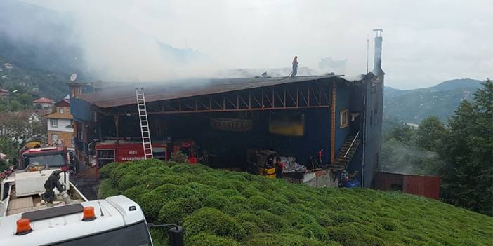 Rize'de çay fabrikasında yangın! 1 kişi dumandan etkilendi