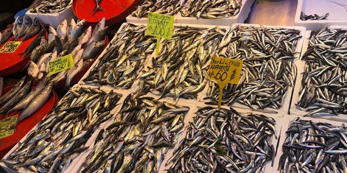 Trabzon'da balık çeşitleri tezgahlarda yerini aldı