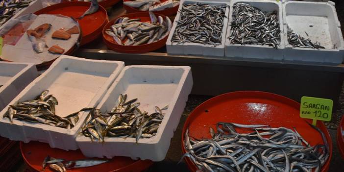 Trabzon'da tezgahlar balık çeşitleriyle doldu