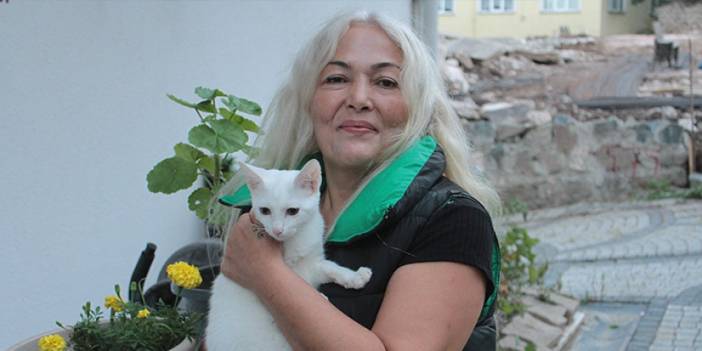 Ordu'da bir kadın 19 yıldır sokak kedilerine annelik yapıyor