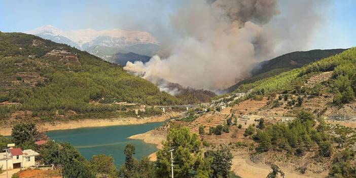 Antalya Alanya'da orman yangını