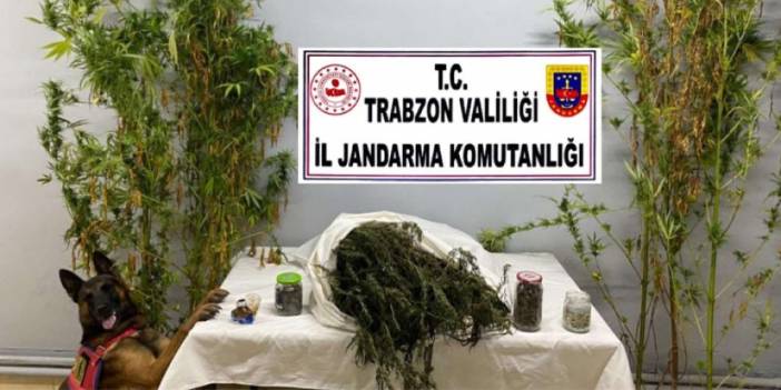 Trabzon’da jandarmadan uyuşturucu operasyonu! 3 şüpheliye gözaltı