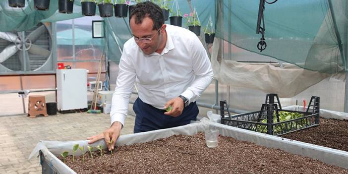Akçaabat'ta bitki üretim seraları son teknolojiyle donatıldı