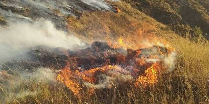Bayburt'ta köylerde örtü yangını! Ekipler müdahale etti