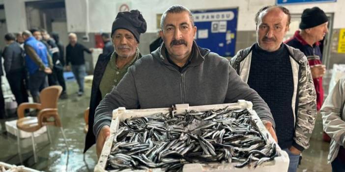 Samsun'da balık mezadında kasalar dolusu hamsi kapış kapış satıldı