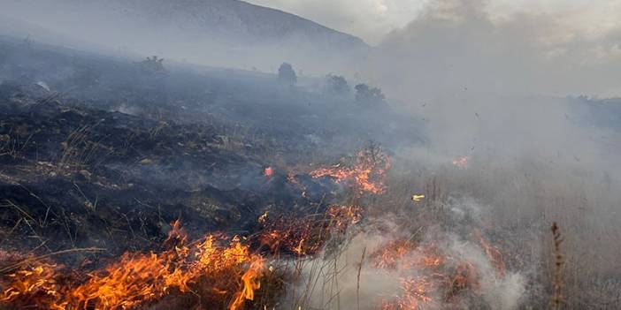 Bayburt'ta dağlık alandaki örtü yangını söndürüldü
