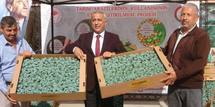 Samsun'da üreticilere brokoli fidesi dağıtıldı