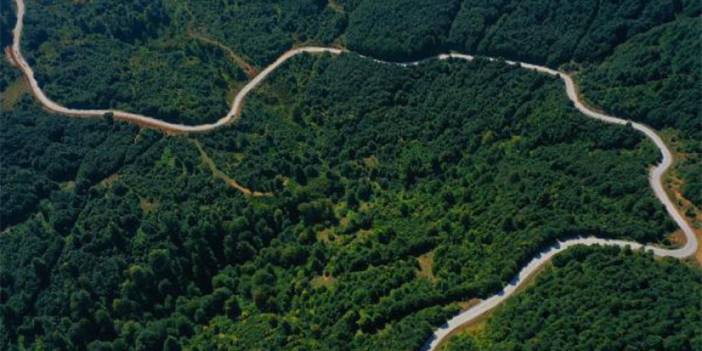 Trabzon ve 8 ili birbirine bağlayacak! 'Yeşil Yol'da çalışmalar sürüyor