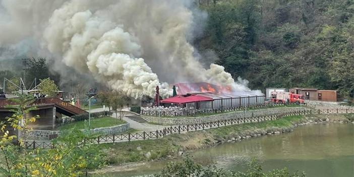 Trabzon'daki Sera Gölü'ndeki yangında yeni gelişme! Kontrol altına alındı