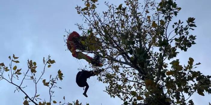 Samsun'da ağaçta asılı kalan paraşütçü kullanıldı