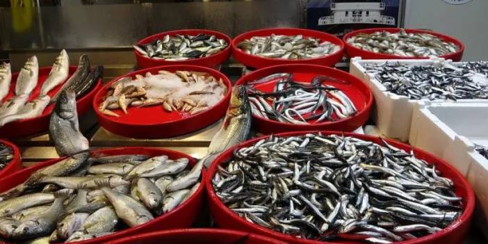 Trabzon'da hamsi bereketi! Balık fiyatları düştü