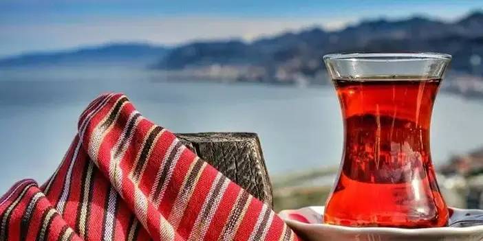 Türk çayı Japonya'da tanıtılacak