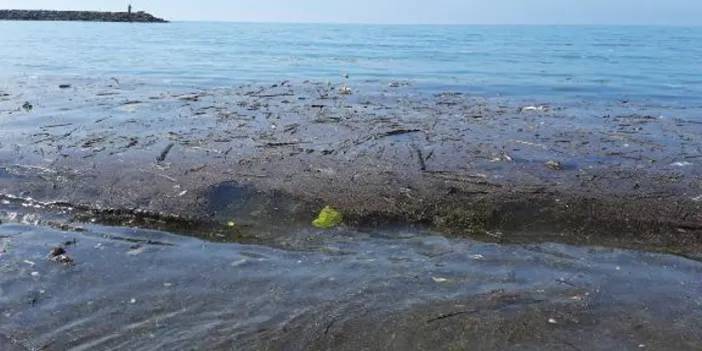 Karadeniz’de kirlilik yükünde artış tehdidi