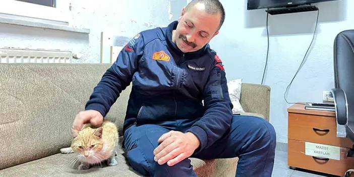 Trabzon'da itfaiyeci kurtardığı yavru kediyi sahiplendi