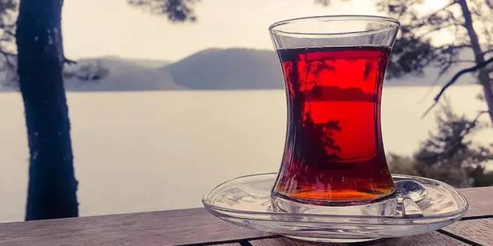 Türk çayı Japonya'da tanıtıldı