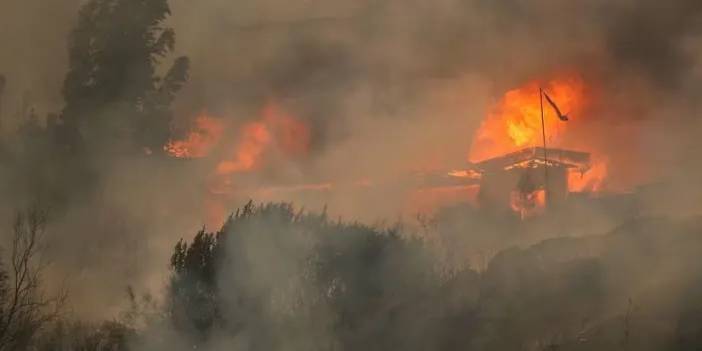Şili'de orman yangını: 51 kişi hayatını kaybetti