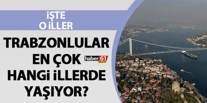 Trabzonlular en çok hangi illerde yaşıyor? İşte o iller