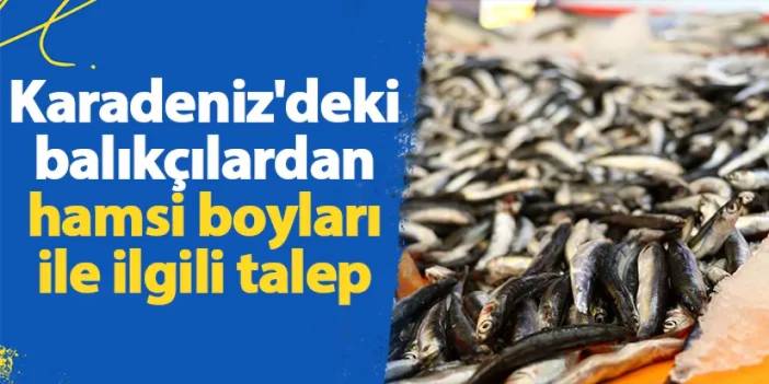 Karadeniz'deki balıkçılardan hamsi boyları ile ilgili talep