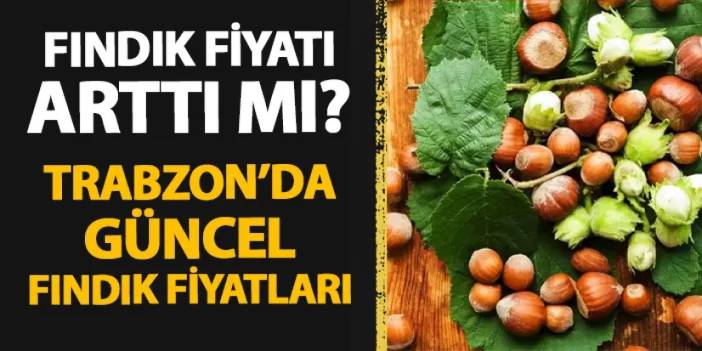 Trabzon'da fındık fiyatı kaç lira? Artış sürüyor mu?