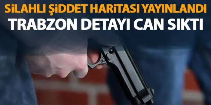 Silahlı Şiddet Haritasında can sıkan Trabzon detayı!