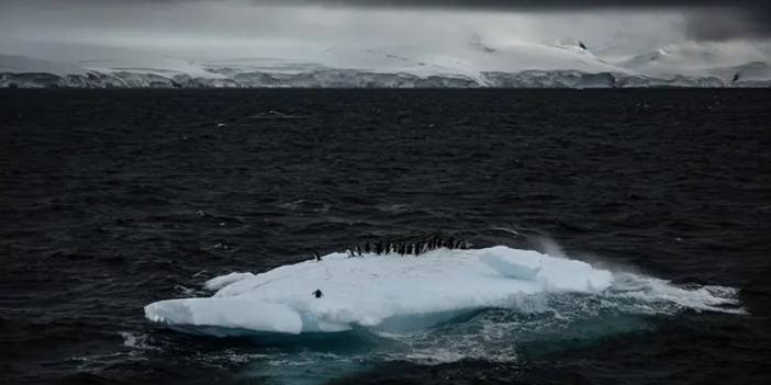 Türkiye, Antarktika'da Çevresel Kirliliği Araştırarak Danışman Ülke Statüsüne Yol Açıyor