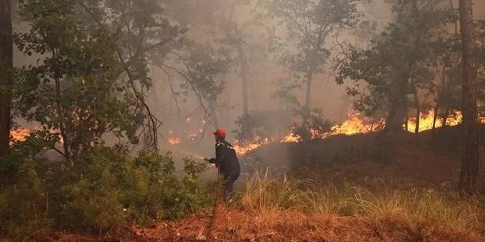 Yunanistan'ın Katerin Kentindeki Orman Yangını Kontrol Altına Alınamıyor