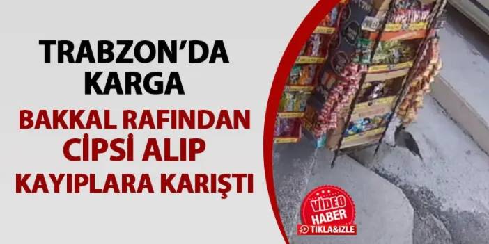 Trabzon'da karga raftan cipsi aldı! Kayıplara katıştı