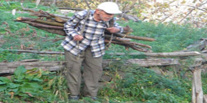Yaş 82 sırtında odun taşıyor