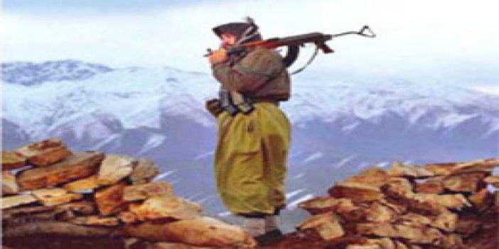 PKK'lılar dağdan böyle inecek!