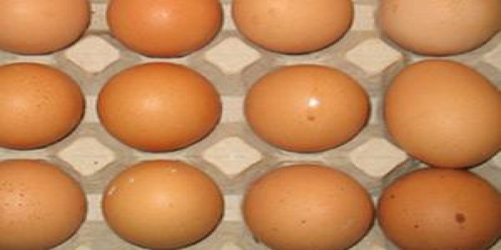 Samsun'da Organik Yumurta