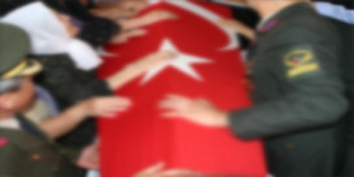 Tunceli'de çatışma:1 şehit,3 yaralı