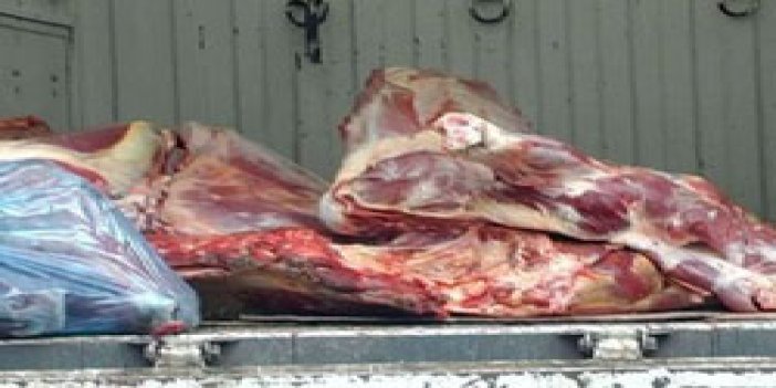 Rize'de yarım ton at eti yakalandı!