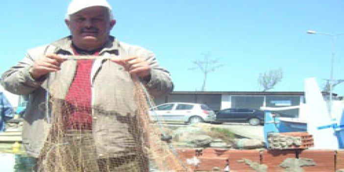 Trabzonlu balıkçılar çok tedirgin